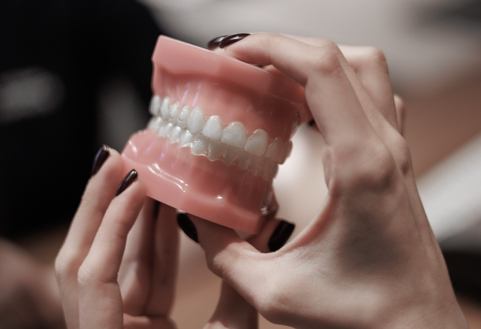 White Dental Group представила оновлений каталог стоматологічних рішень на 2025 рік